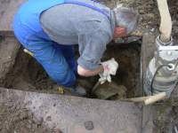 Foto zum Vergrößern bitte anklicken!