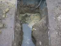 Foto zum Vergrößern bitte anklicken!