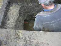 Foto zum Vergrößern bitte anklicken!