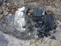 Foto zum Vergrößern bitte anklicken!